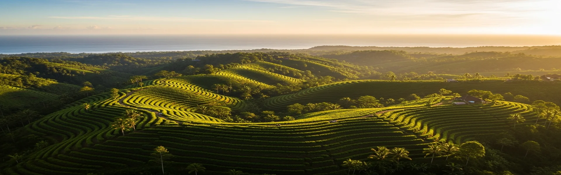 Indonesian vanilla farms in Bali - direct supplier landscape