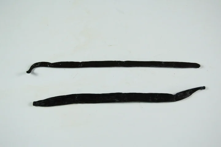 Planifolia (Bourbon) and Tahitensis vanilla beans side by side