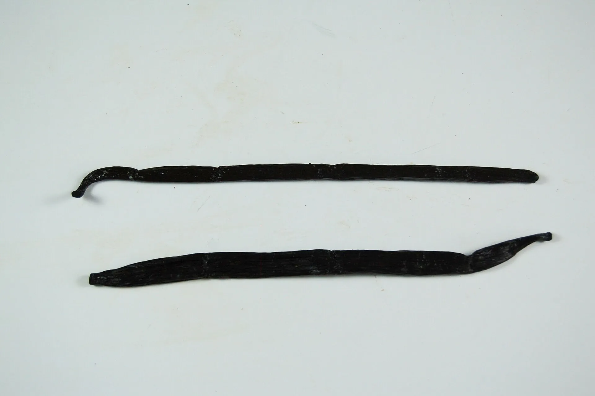 Planifolia (Bourbon) and Tahitensis vanilla beans side by side