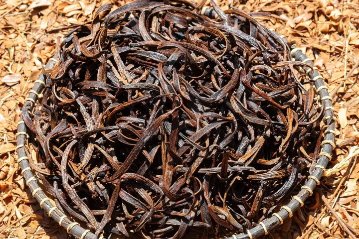 Basket of cured dark vanilla beans