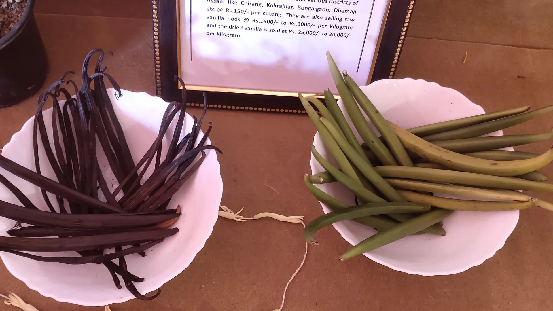 Cured and green vanilla beans in two bowls