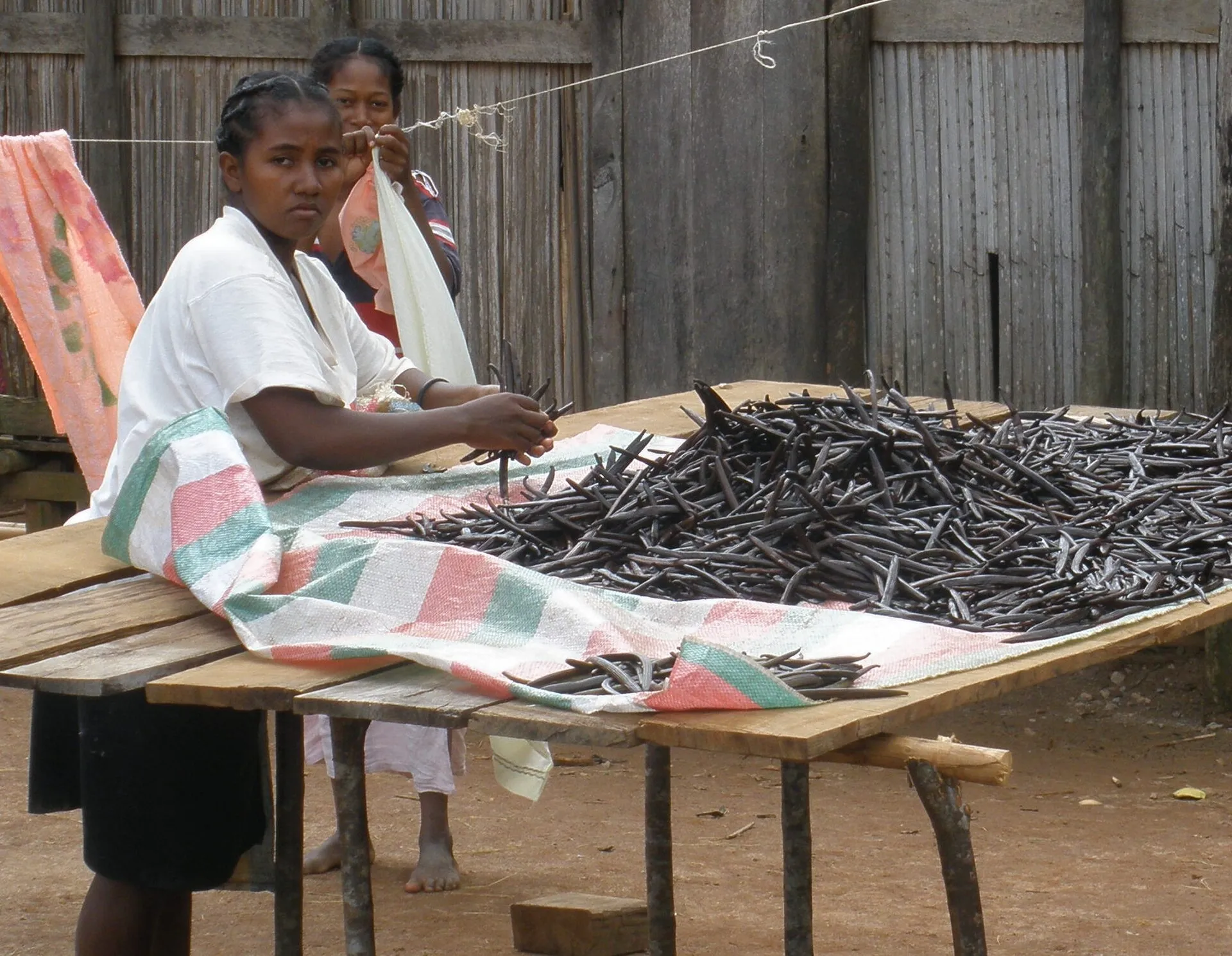 Woman sorting cured vanilla beans in Sambava, Madagascar