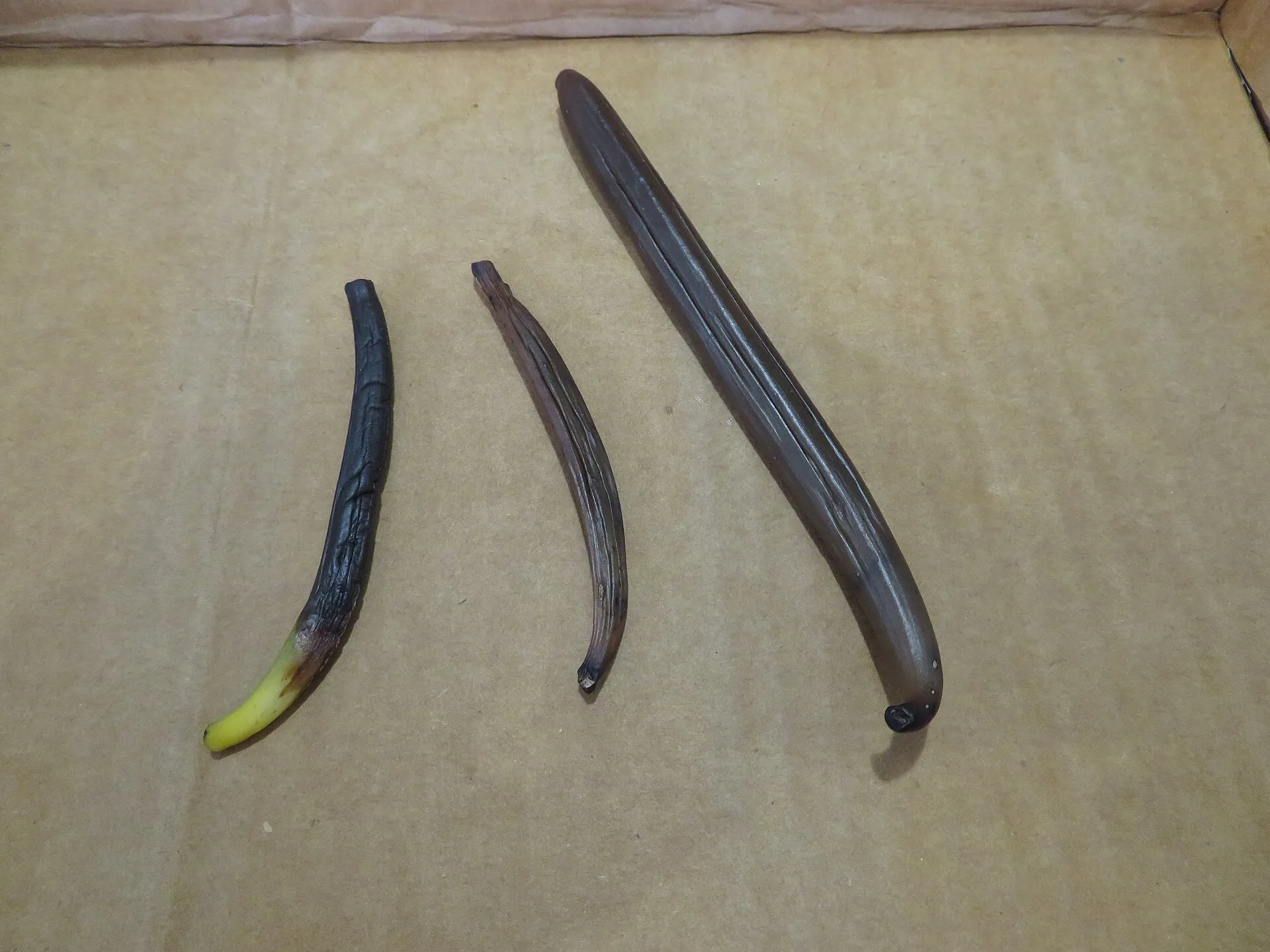 Vanilla pods at different stages of curing, from green to dark brown